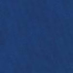 Blue Canvas