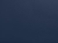 Navy MGP Hammered